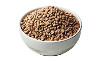 Waste Food Pellet